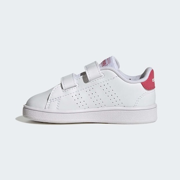 Baskets 'Advantage CF' ADIDAS ORIGINALS en blanc