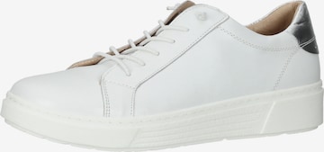 Baskets basses HUSH PUPPIES en blanc : devant