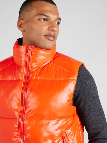 SAVE THE DUCK Bodywarmer 'AILANTUS' in Oranje