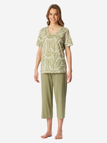 SCHIESSER Pyjama 'Comfort Essentials' in Groen: voorkant