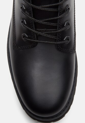 Stivaletto stringato di TIMBERLAND in nero