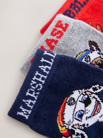 Chaussettes Next en mélange de couleurs