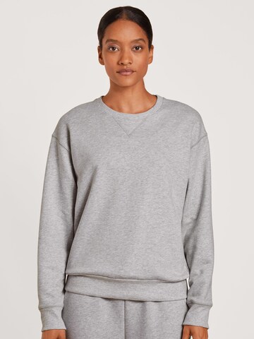 CALIDASweater majica - siva boja: prednji dio