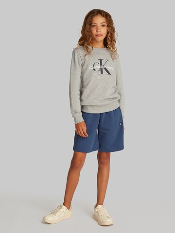 Felpa di Calvin Klein Jeans in grigio: frontale