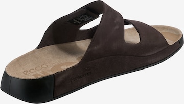 ECCO Mules in Brown