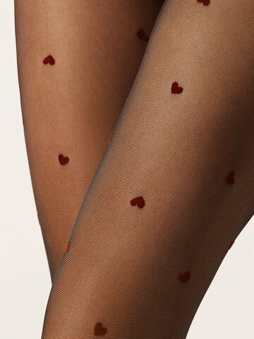 CALZEDONIA Fine Tights in Black