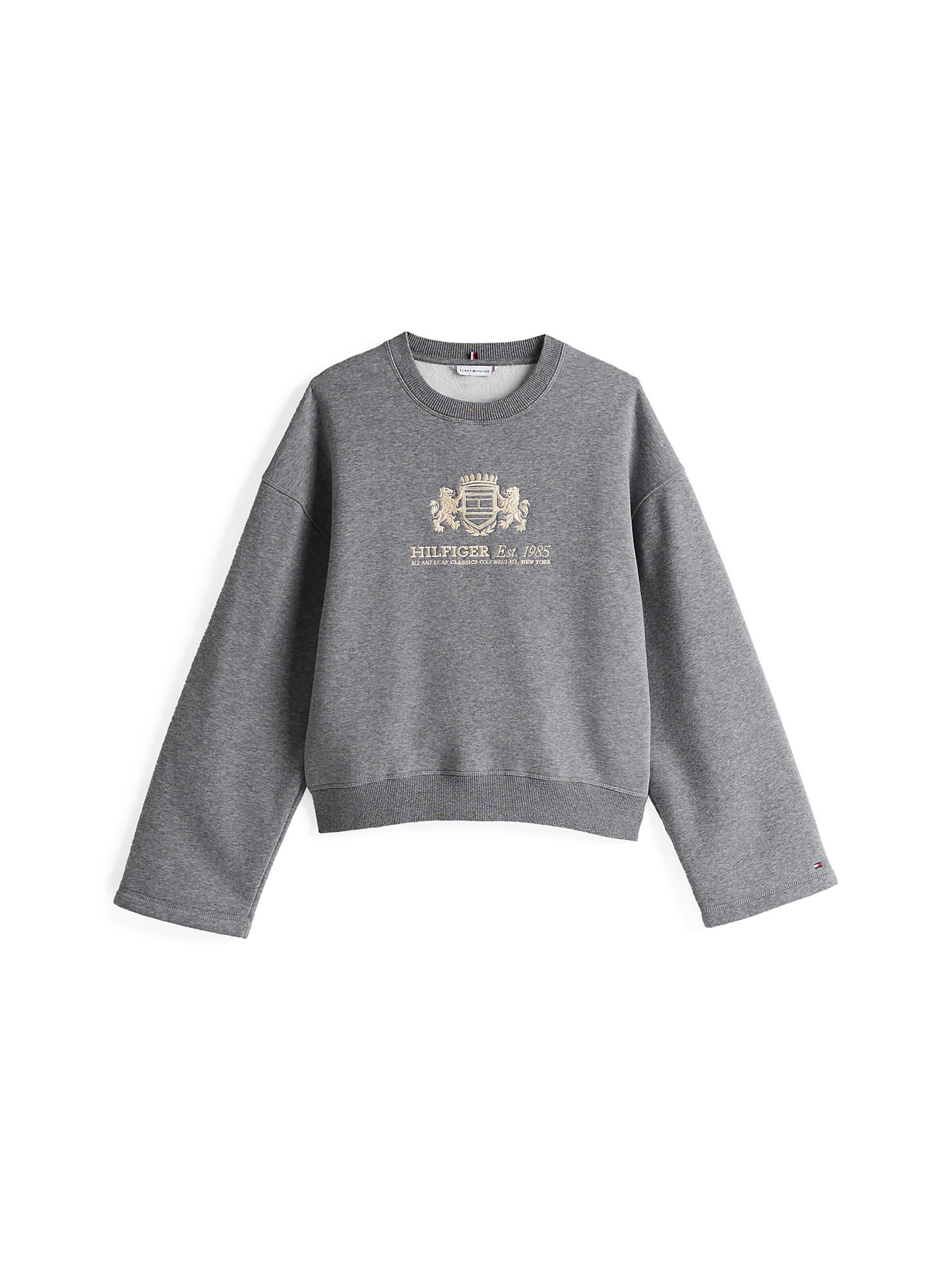 Sweat-shirt TOMMY HILFIGER en gris : devant
