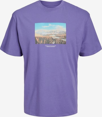 JACK & JONES Bluser & t-shirts i lilla: forside