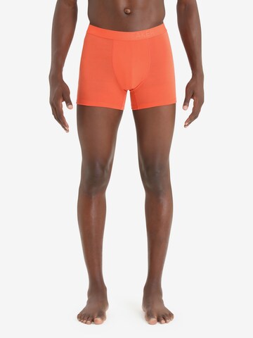 ICEBREAKER Boksershorts 'Anatomica' i orange: forside