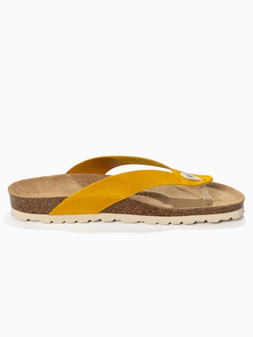 Bayton Tådelare 'Lucca' i gul