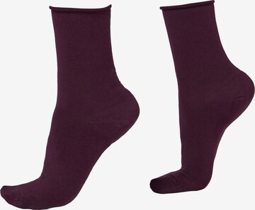 CALZEDONIA Socken in Lila: predná strana