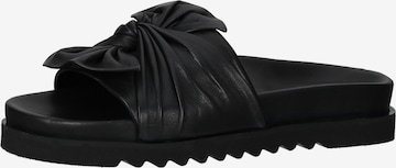 ILC Mules in Black: front