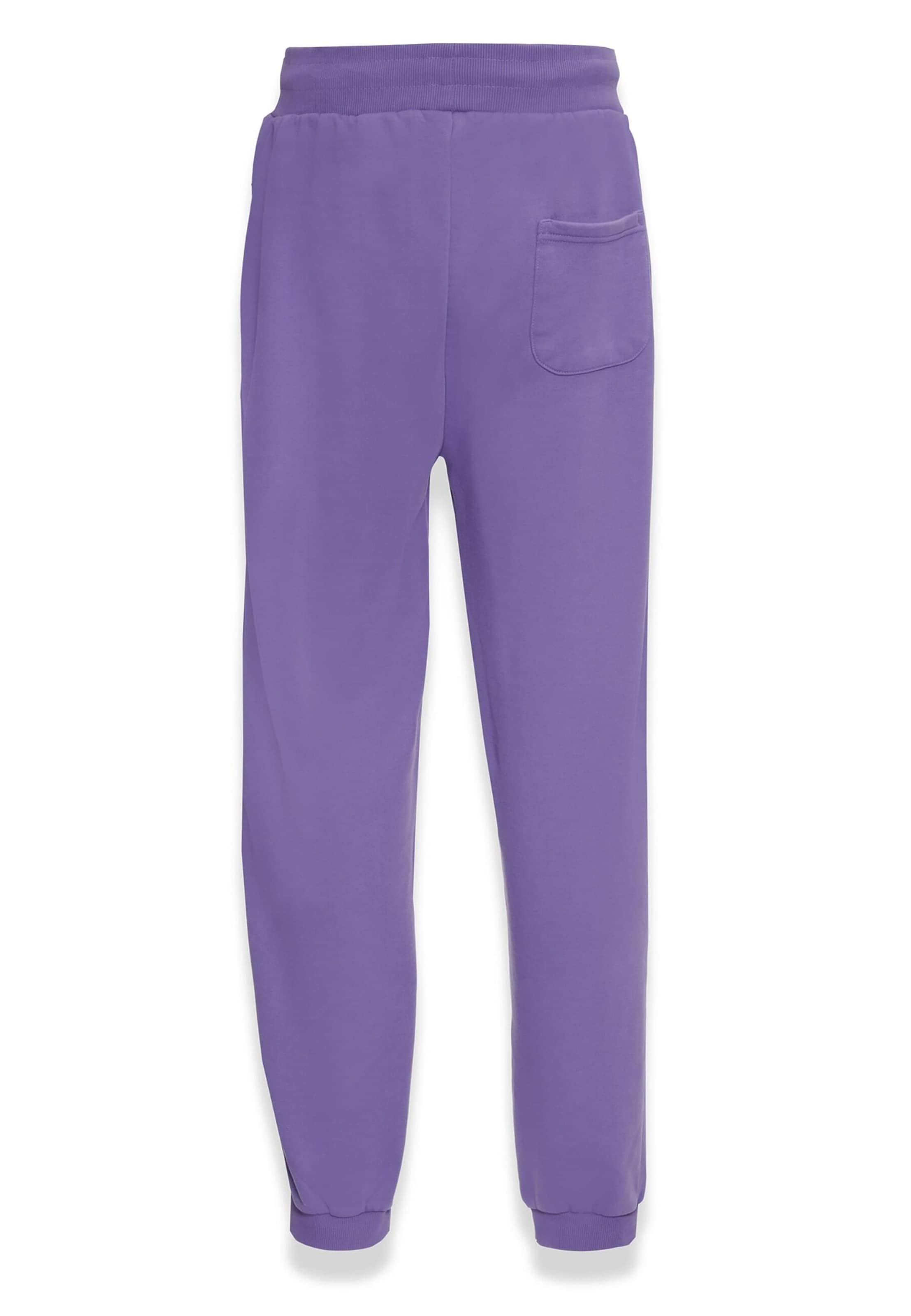 Dropsize Tapered Pants 'Bazix Republiq' in Purple