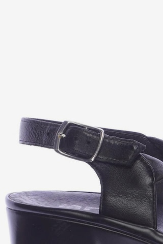 Högl Sandals & High-Heeled Sandals in 37 in Black