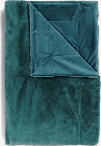 ESSENZA Blankets 'Furry' in Green: front