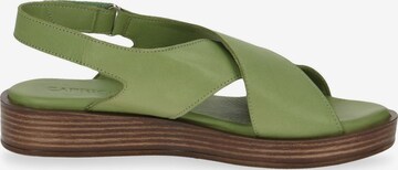 Sandalo di CAPRICE in verde
