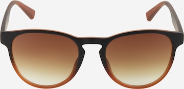 HAWKERS Sonnenbrille 'CRUSH' in Braun