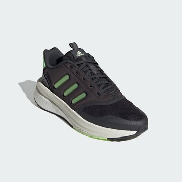 ADIDAS SPORTSWEARNiske tenisice 'X_PLRPHASE' - siva boja