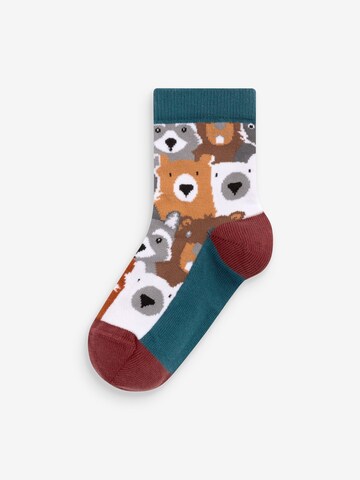 Next Socken in Braun