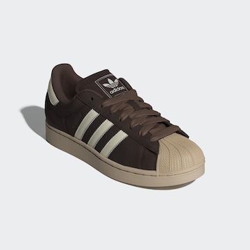 Baskets basses 'Superstar II' ADIDAS ORIGINALS en marron