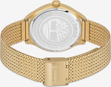 TIMBERLAND Analog Watch 'LINCOLNDALE' in Gold