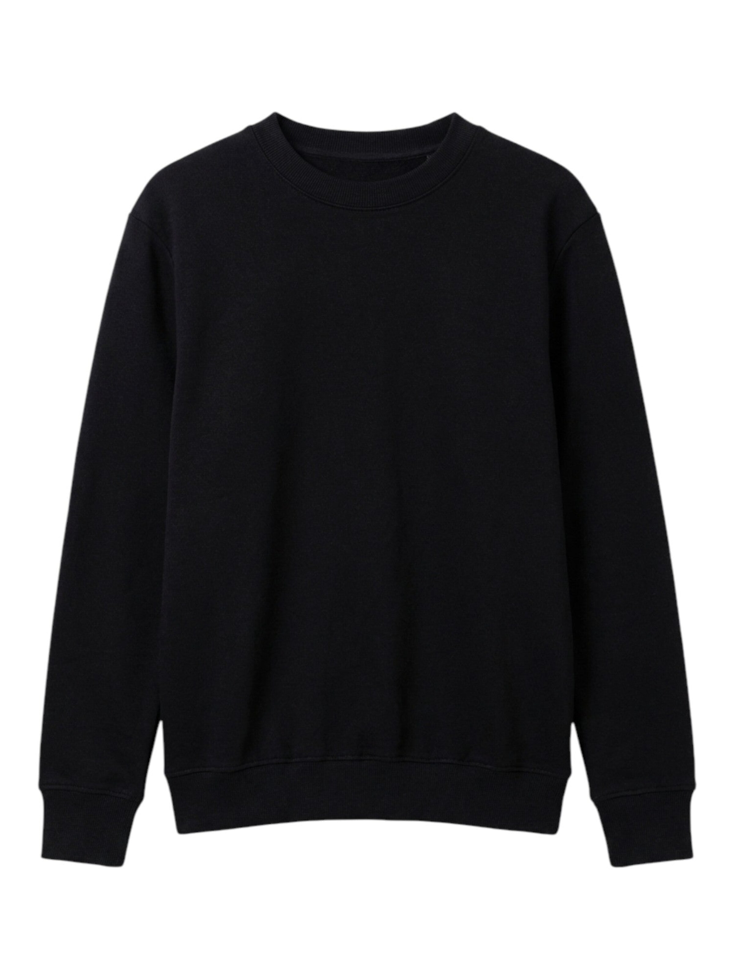 TEESHOPPEN Sweatshirt in Black: front