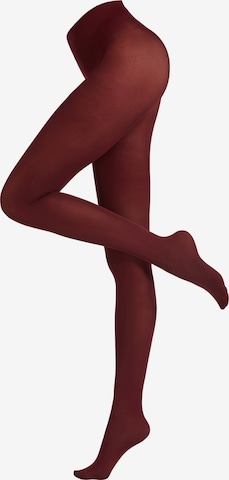 CALZEDONIA Fine Tights in Red: front