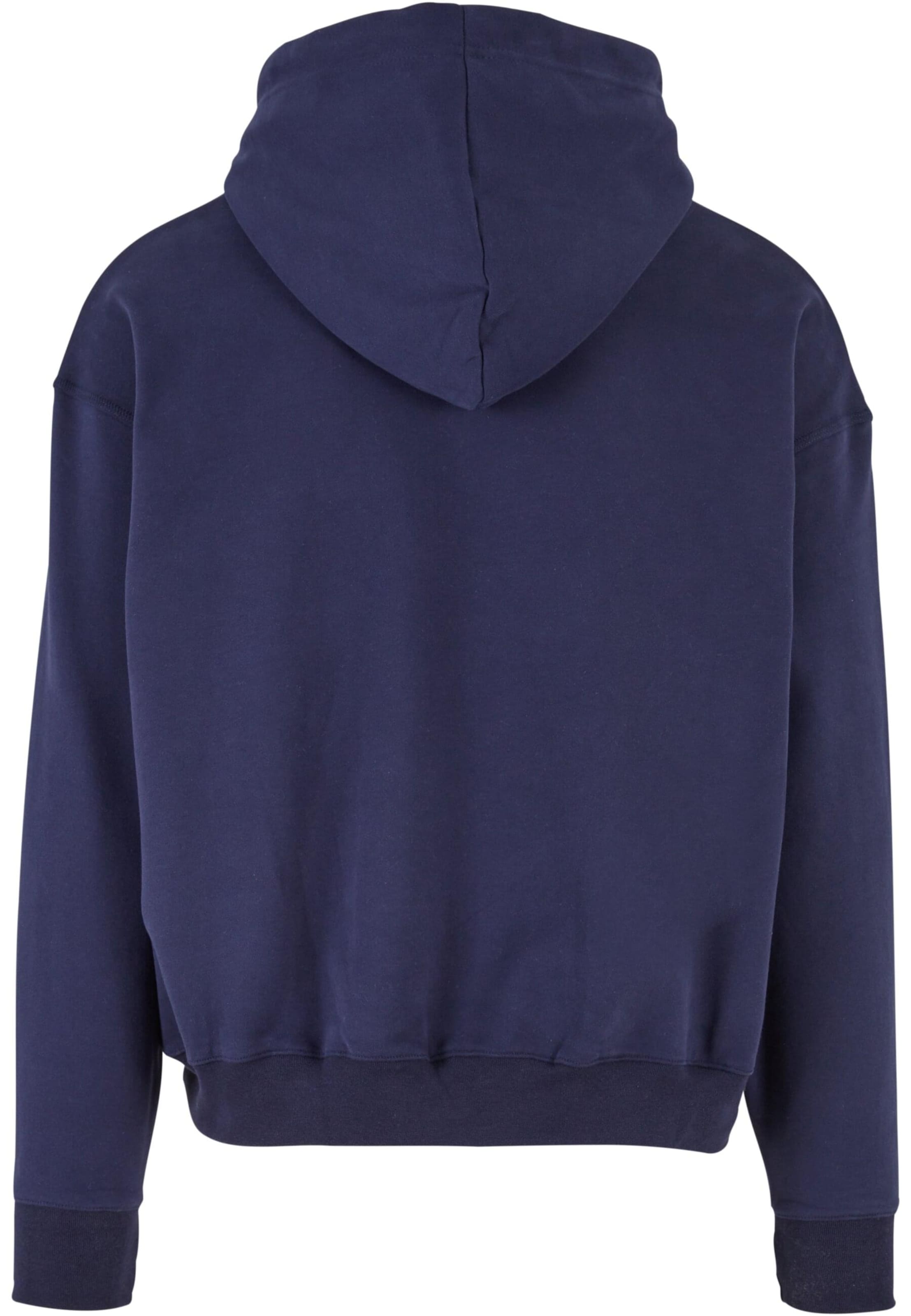 2Y Premium Sweatshirt in Blau