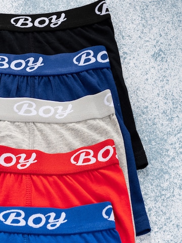Pantaloncini intimi 'Jungen Boxershorts Finn' di LOREZA in colori misti