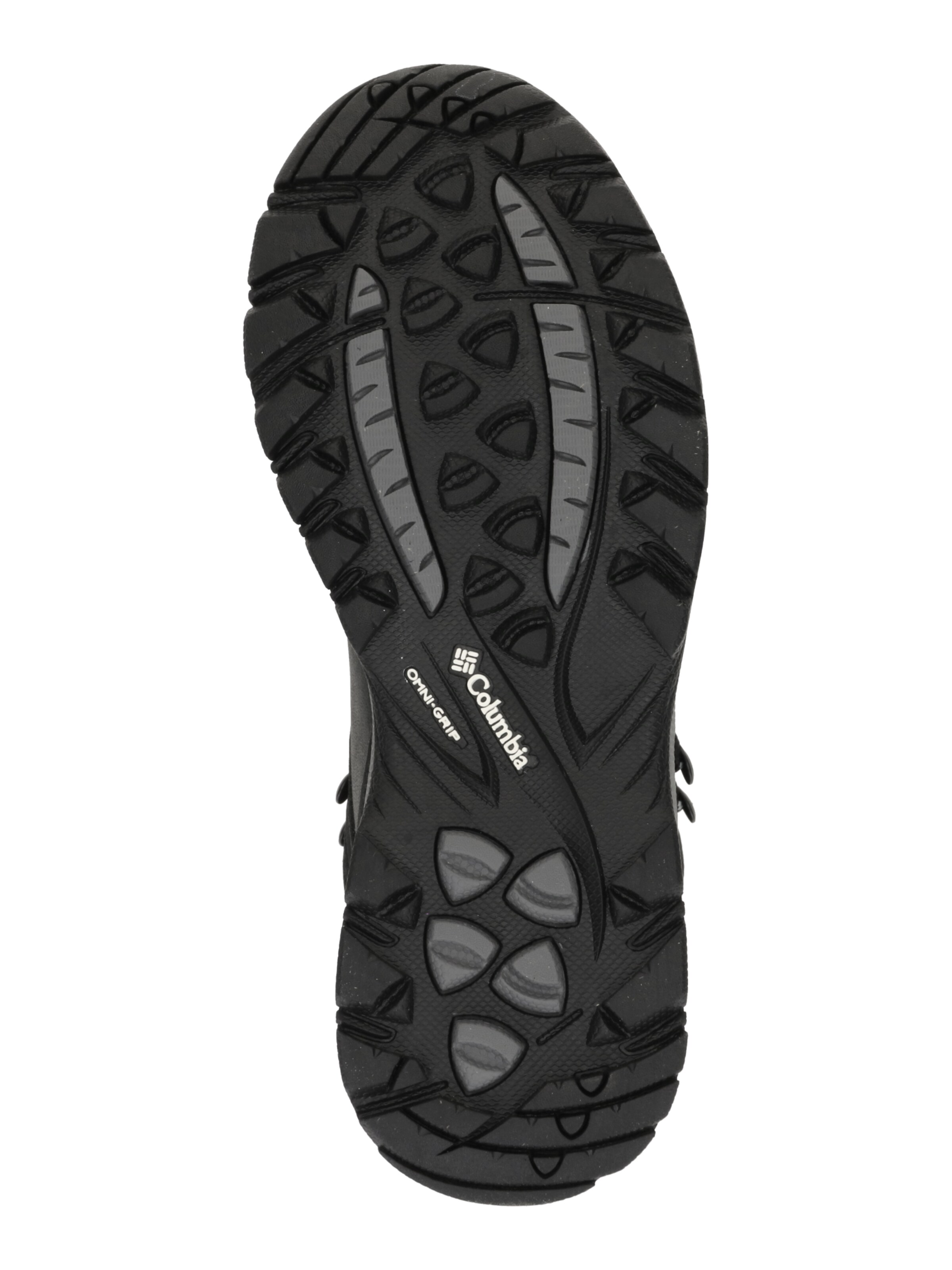 COLUMBIA Ботинки 'NEWTON RIDGE™ PLUS' в Черный