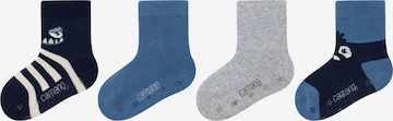 camano Socken in Blau: Vorderseite