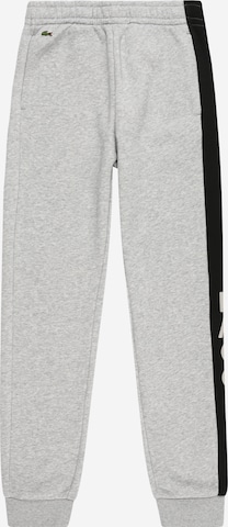 LACOSTE Tapered Pants in Grey: front