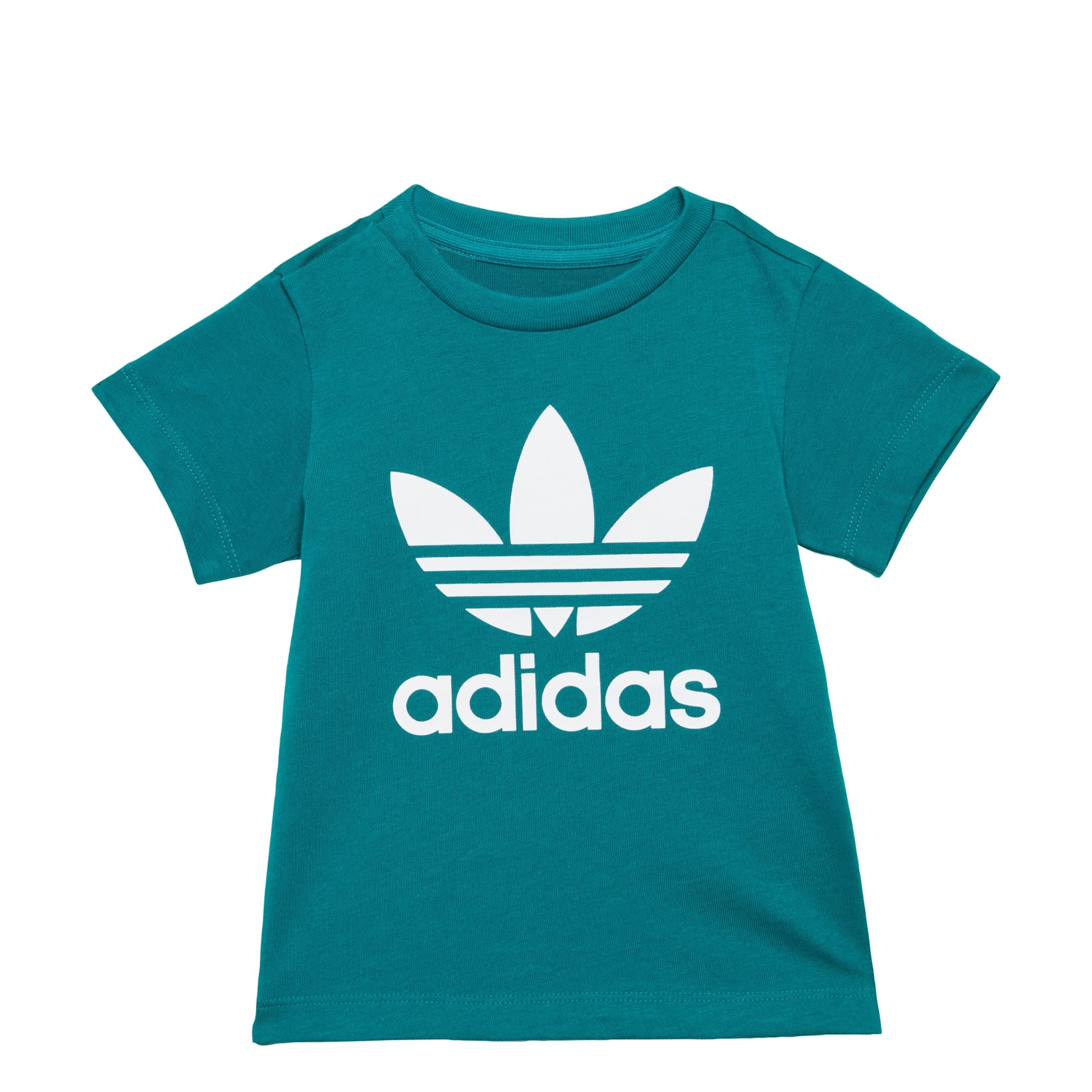 T-Shirt 'Trefoil' ADIDAS ORIGINALS en vert : devant