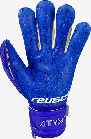 REUSCH Handschuh 'Attrakt Fusion' in Blau