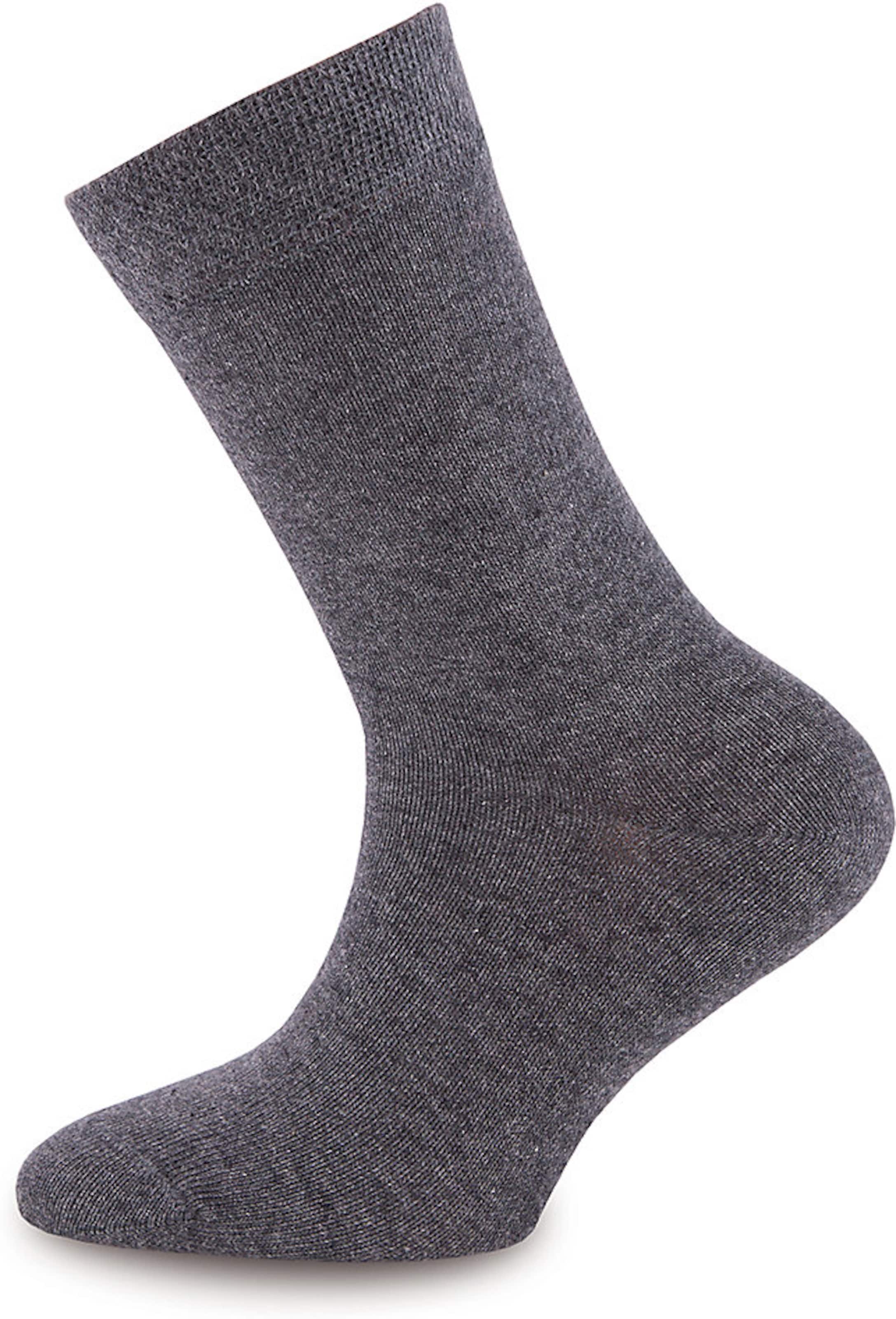 EWERS - regular Calcetines en gris