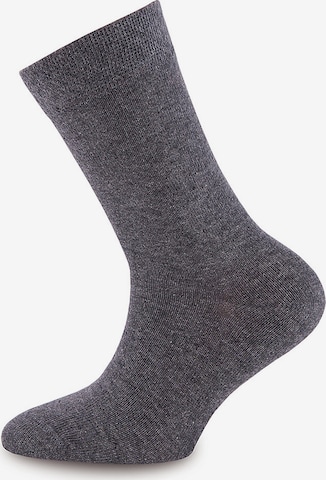 EWERS Regular Socken in Grau
