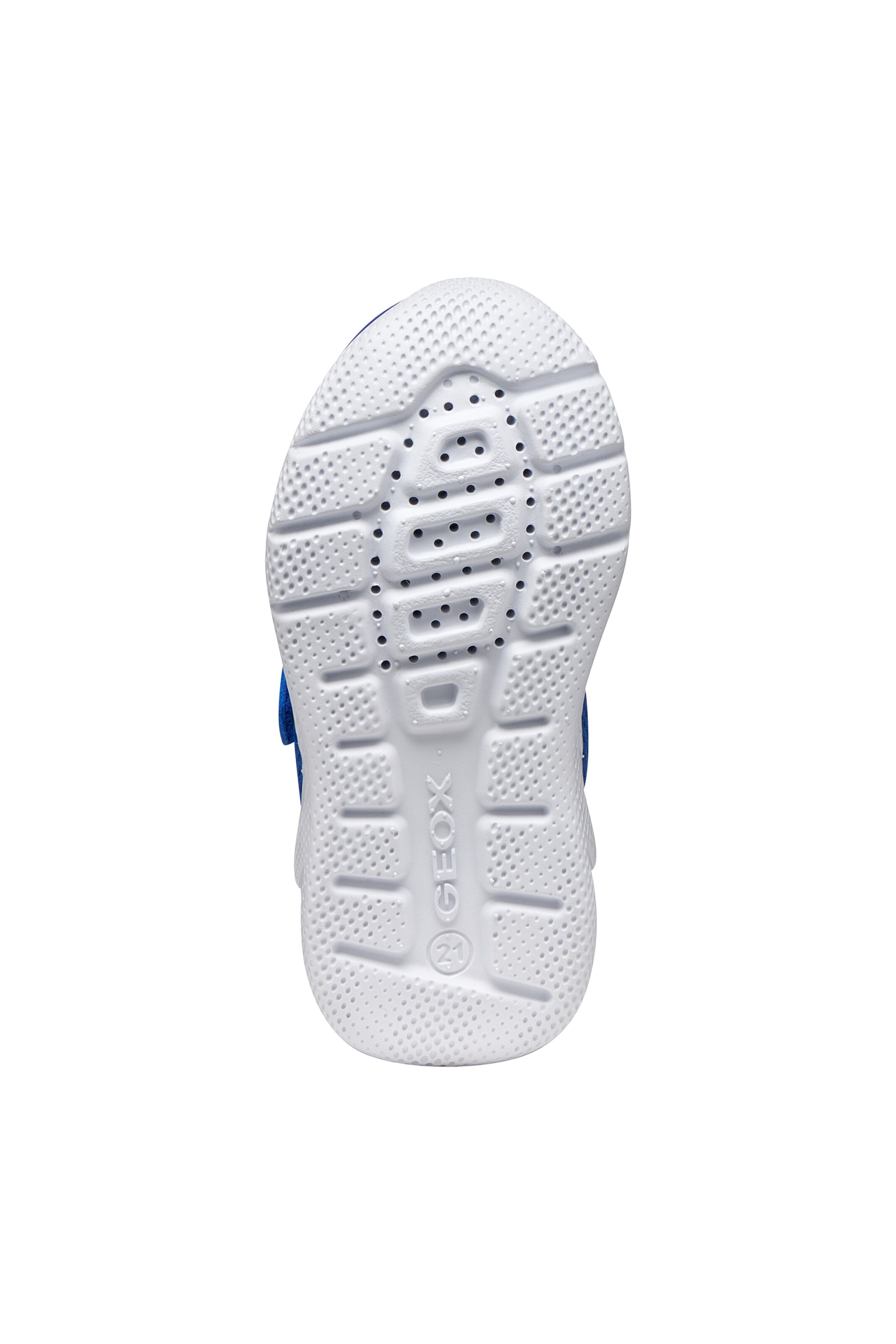 GEOX Sneakers in Blue