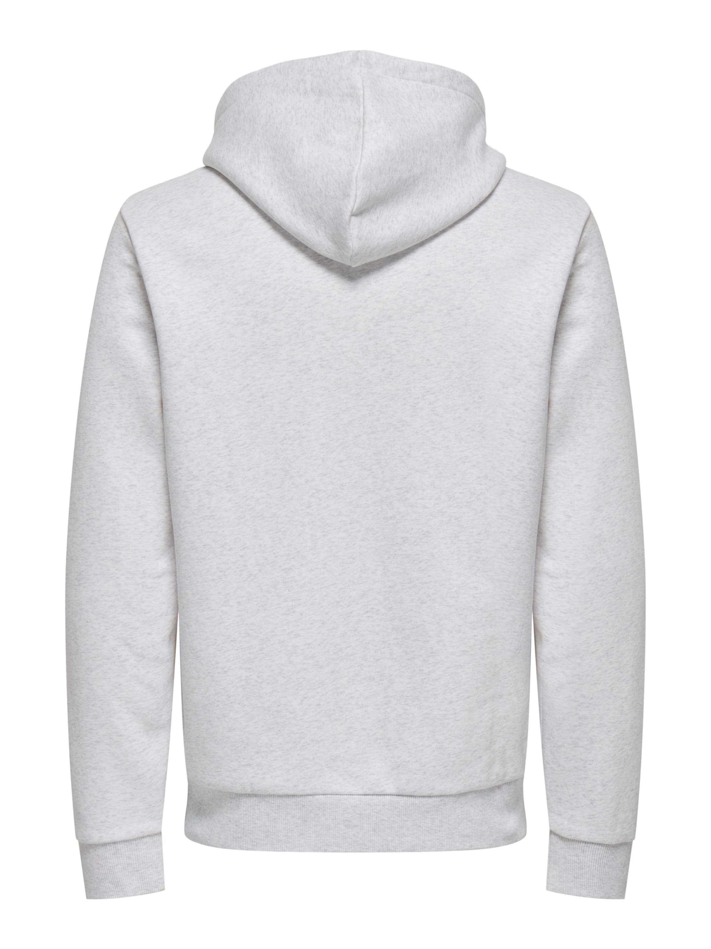 Only & Sons Regular Fit Sweatshirt 'ONSCERES' in Grau