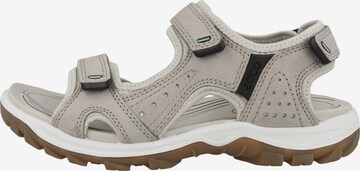ECCO Sandals 'Offroad Lite' in Grey