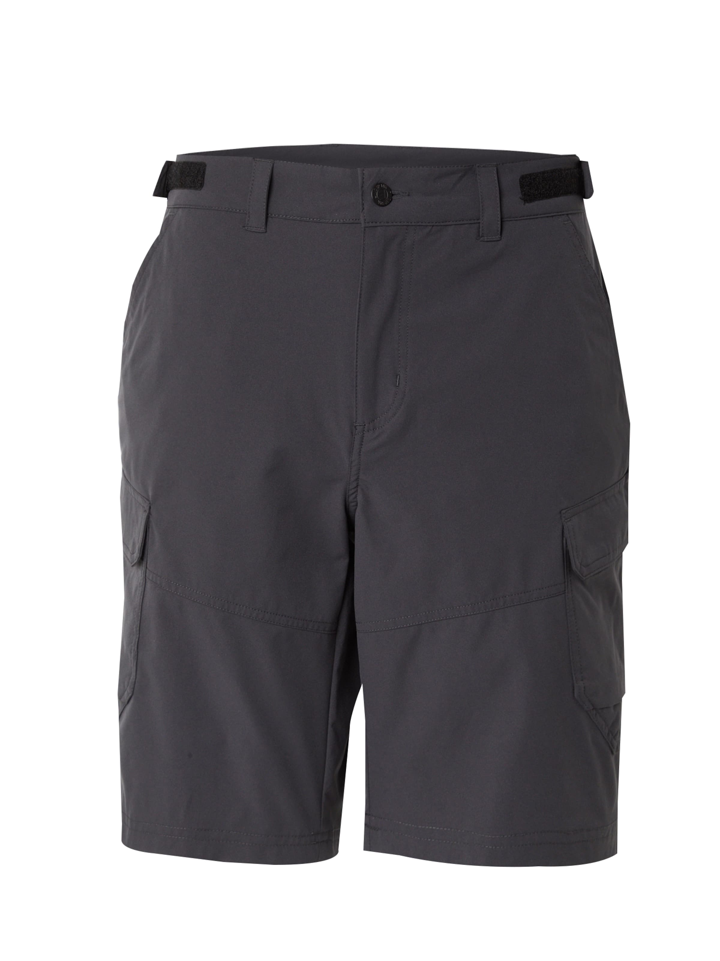 ICEPEAK regular Παντελόνι πεζοπορίας 'BRASWELL' σε γκρι: μπροστά