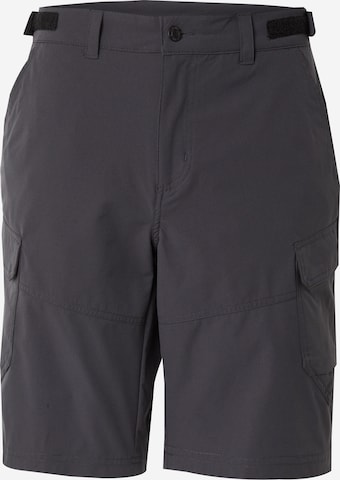 pilka ICEPEAK Standartinis Laisvalaikio kelnės 'BRASWELL': priekis