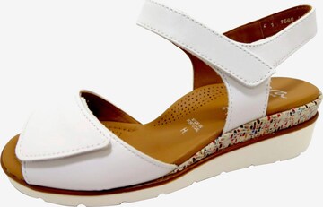 ARA Strap Sandals in White: front