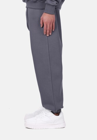 Dropsize Loose fit Pants in Grey