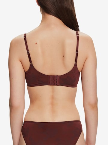 ESPRIT T-shirt Bra in Brown