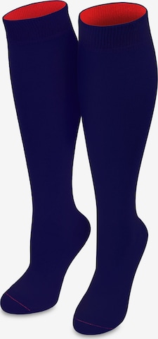 normani Knee High Socks in Blue: front