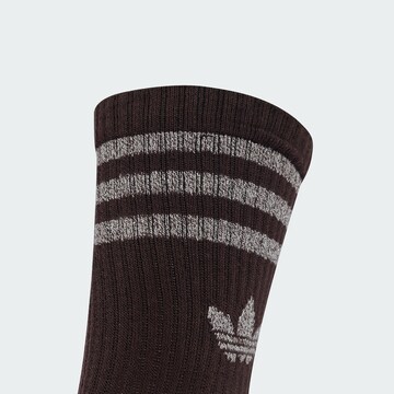ADIDAS ORIGINALS - Calcetines en marrón