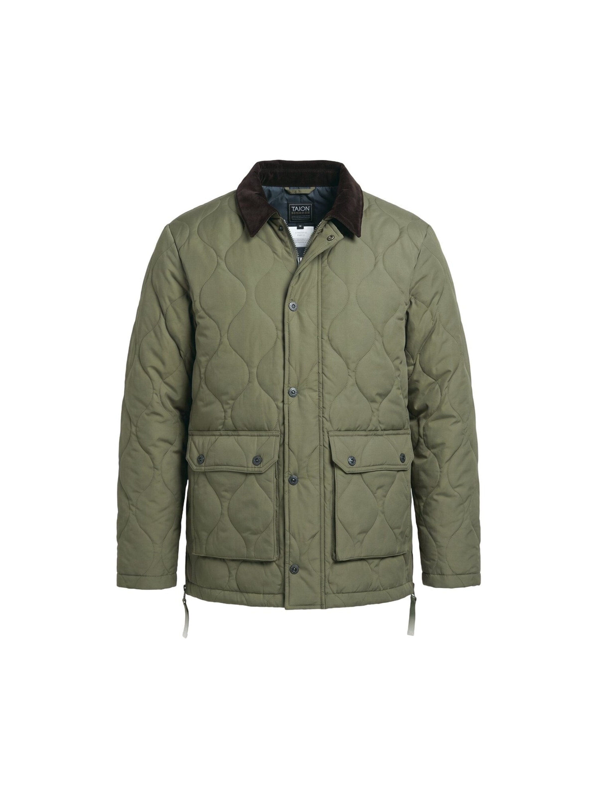 Taion Winterjas in Groen: voorkant