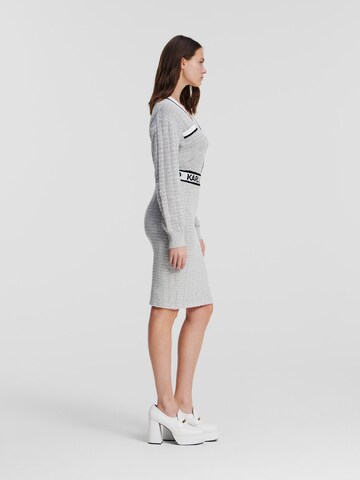 Karl Lagerfeld Skirt in Grey