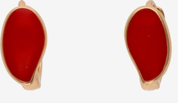 Boucles d'oreilles faina en or : devant