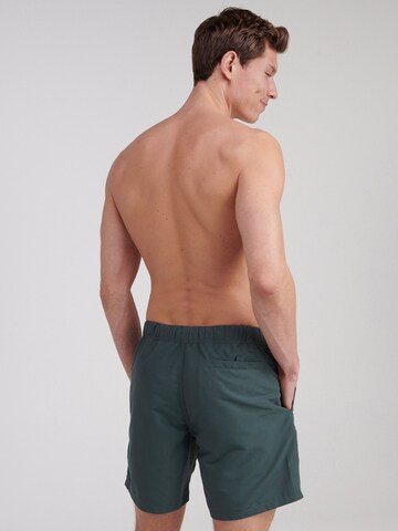 Shiwi Board Shorts in Green